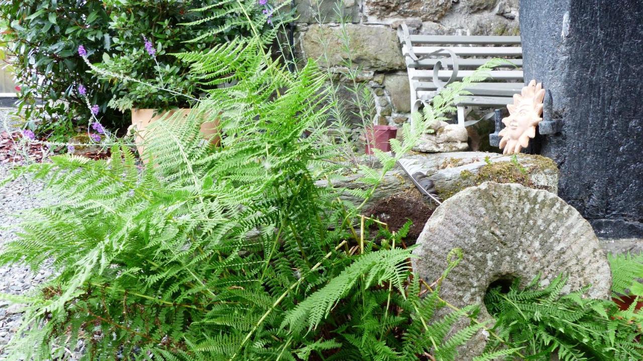 Dolifor Daire Llanwrthwl Dış mekan fotoğraf